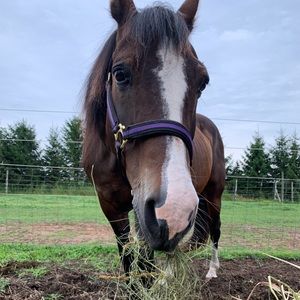 Meet your Posher, Bryna